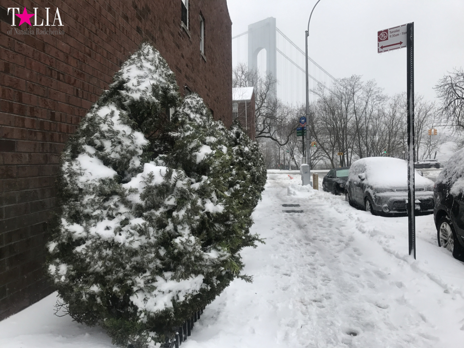 Snow Storm "Stella" on March 14, 2017 in New York
